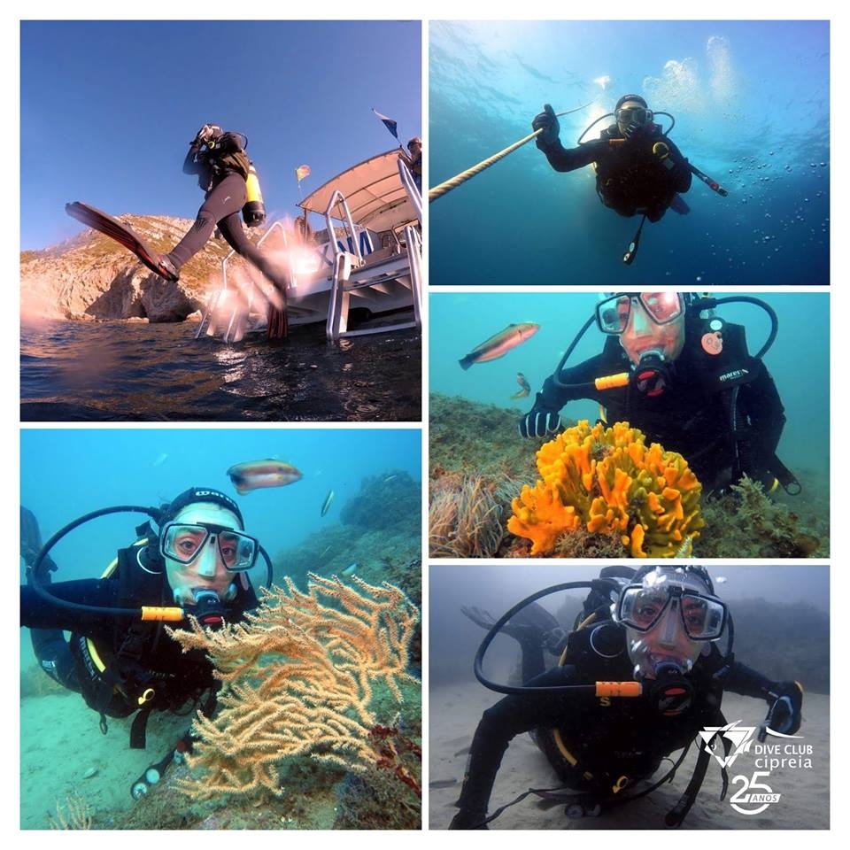 Scuba diving Lagos - boat cruises algarve